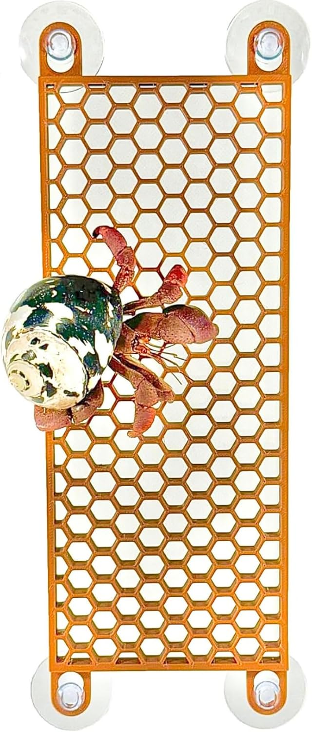 Hermit Crab Ladder Climbing Toy