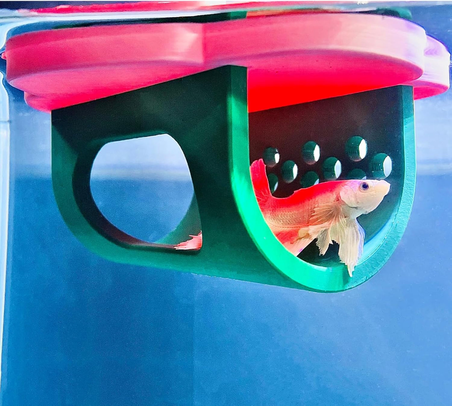 Betta Floating Hideout - Flower Rest Hammock
