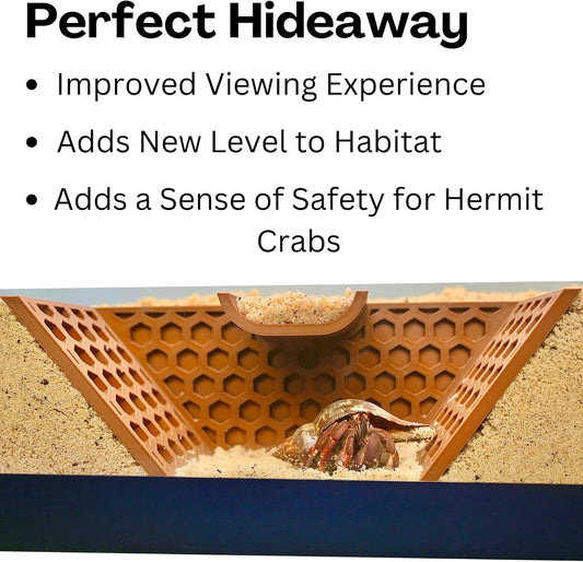 Hermit Crab Underground Tunnel Cave