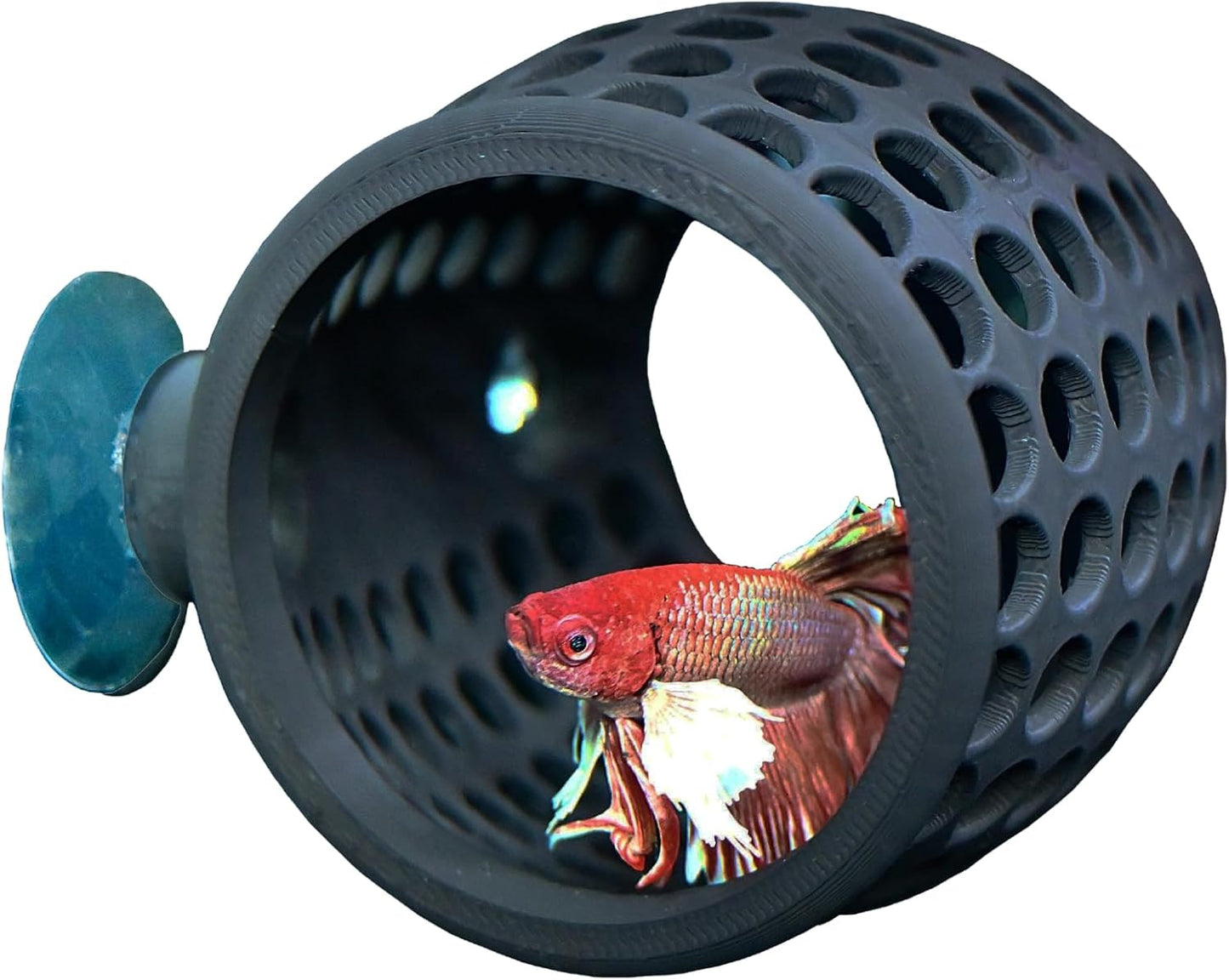 Betta Hideout Hammock Wall Cave