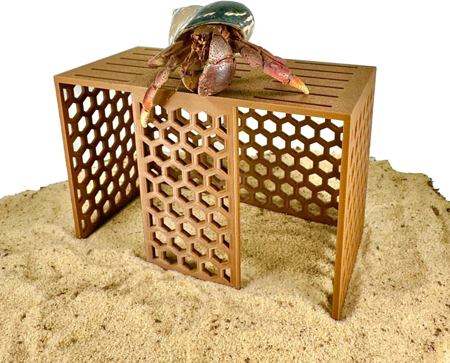 Hermit Crab Climbing Toy Stand