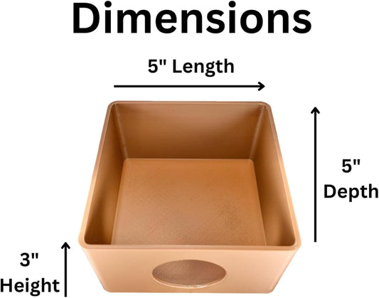 Reptile Cave Humid Cave