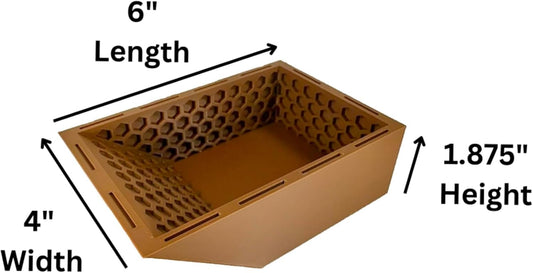 Hermit Crab Ground Pool with Ramp