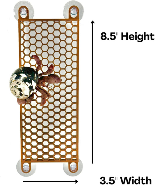 Hermit Crab Ladder Climbing Toy