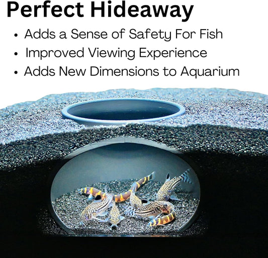 Aquarium Underground Cave Dome