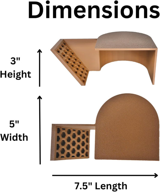 Hermit Crab Underground Cave