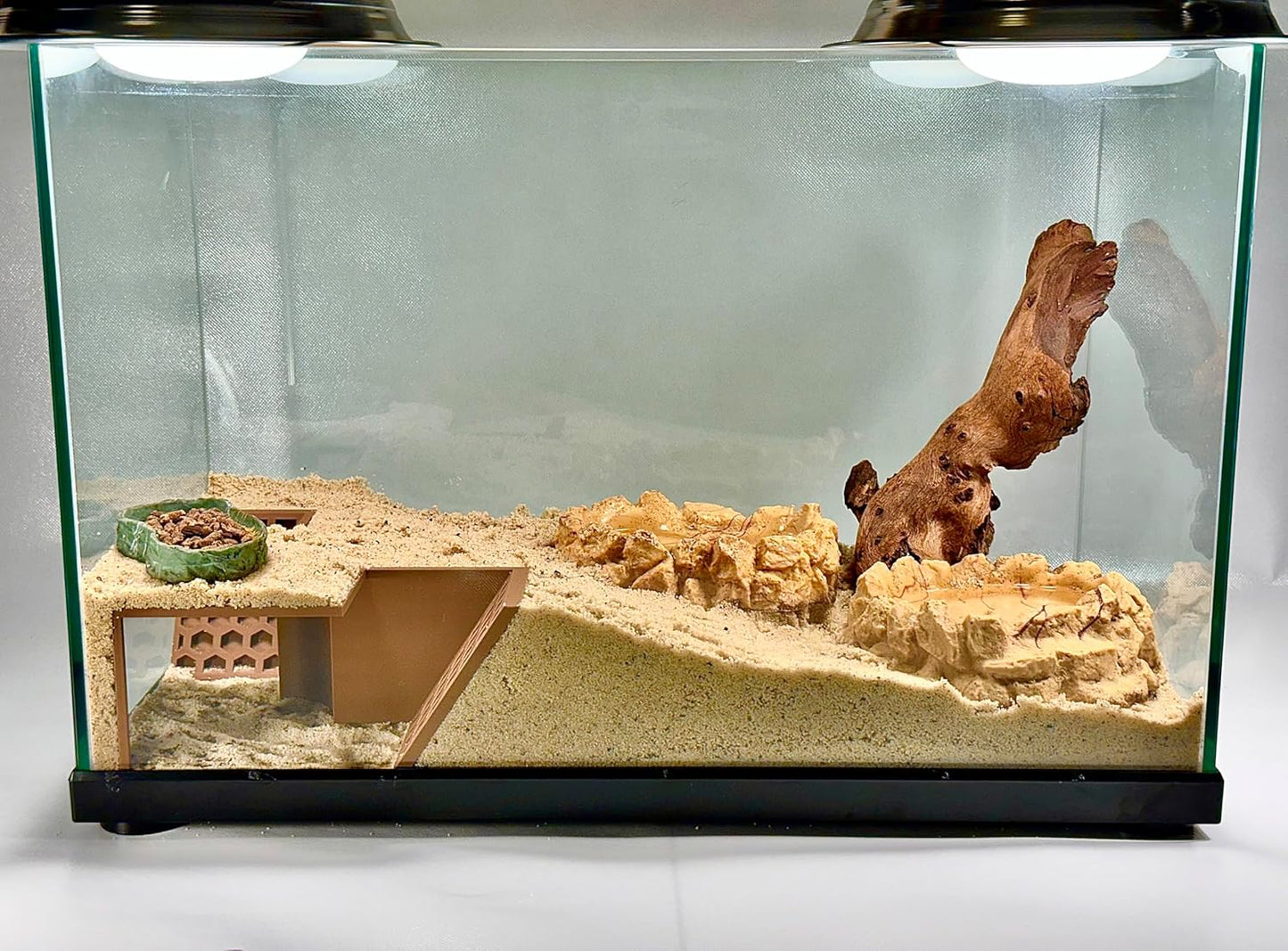 Hermit Crab Underground Tunnel Cave Corner