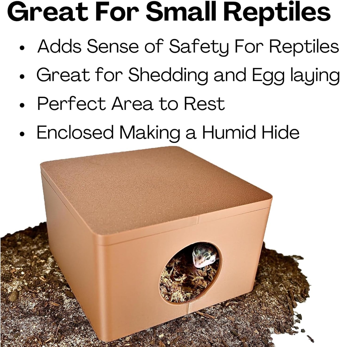 Reptile Cave Humid Cave