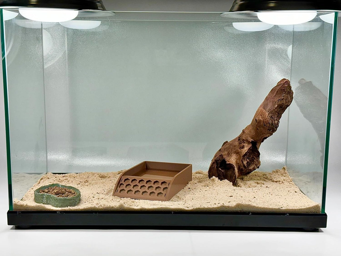 Hermit Crab Pool with Ramp