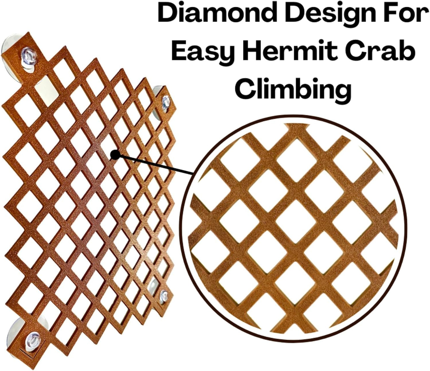 Hermit Crab Climbing Ladder Wall