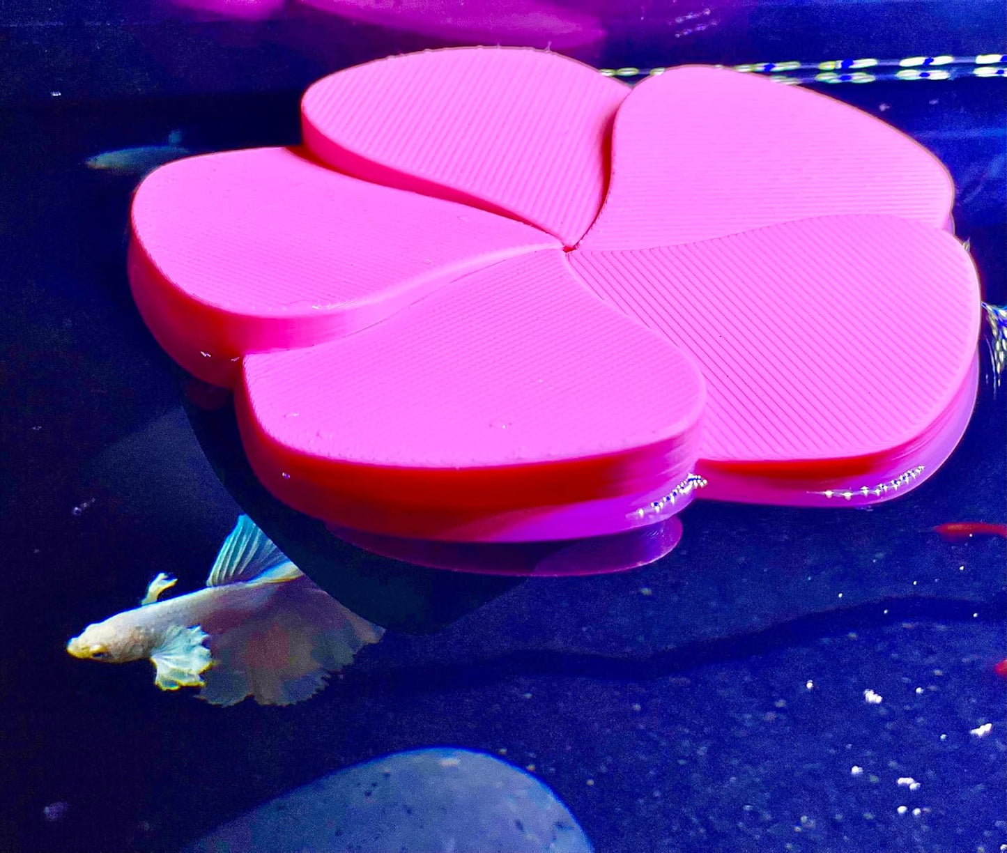 Betta Floating Hideout - Flower Rest Hammock