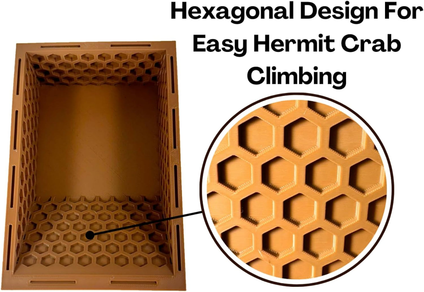 Hermit Crab Ground Pool with Ramp