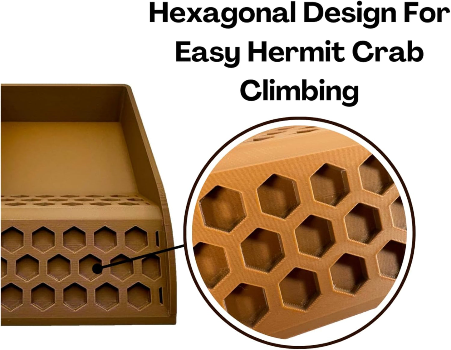 Hermit Crab Pool with Ramp