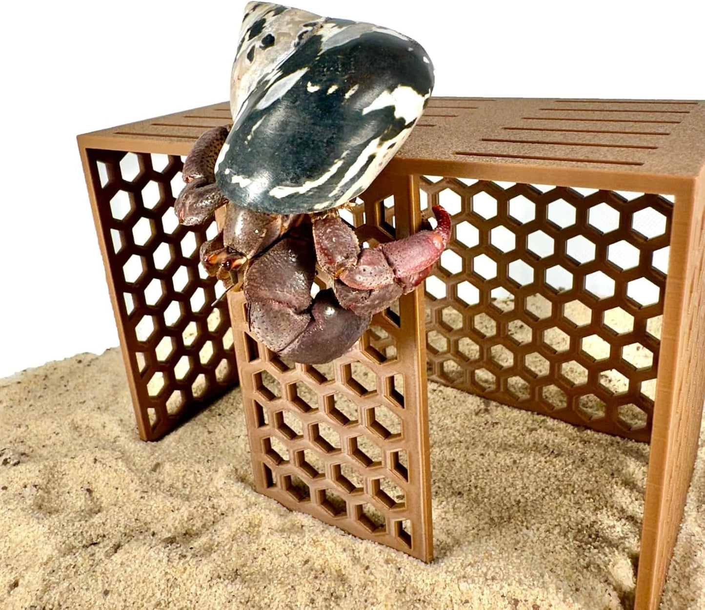 Hermit Crab Climbing Toy Stand