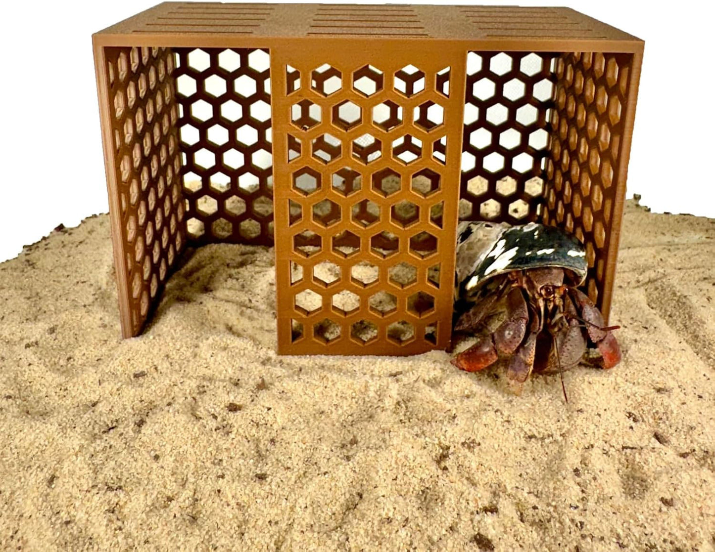 Hermit Crab Climbing Toy Stand