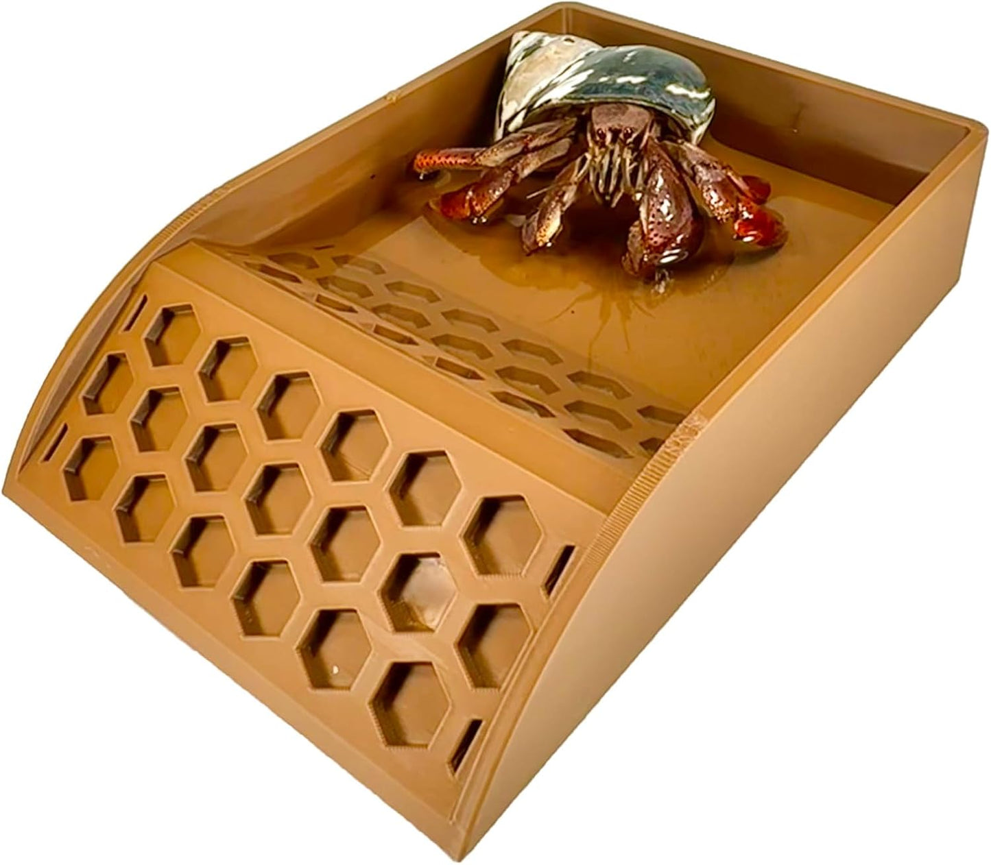 Hermit Crab Pool with Ramp