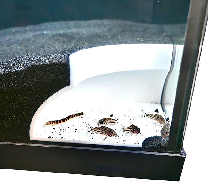 Aquarium Underground Corner Cave