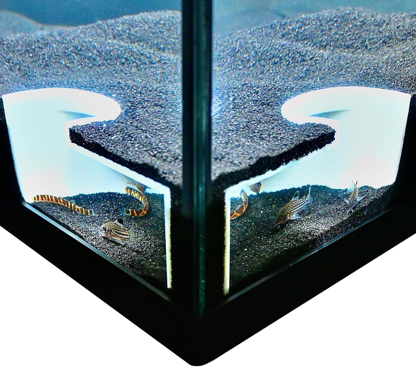 Aquarium Underground Two Hole Corner Cave