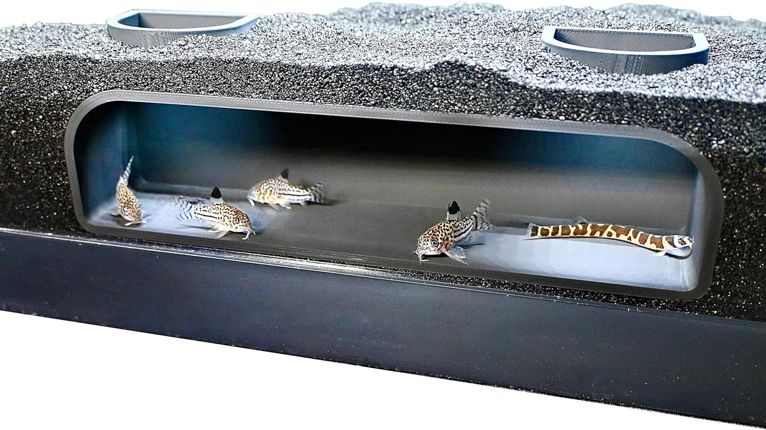 Ondergrondse grot voor aquarium - Vissen Ondergrondse grot voor aquarium - Vissen