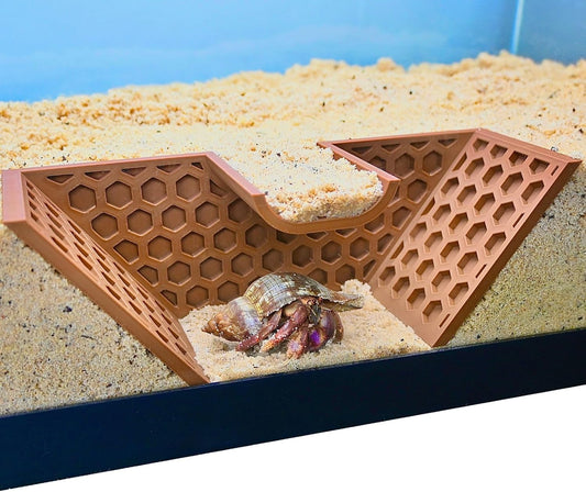 Hermit Crab Underground Tunnel Cave