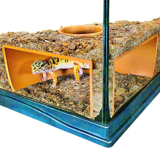 Reptile Corner Underground Cave Viewing Hide