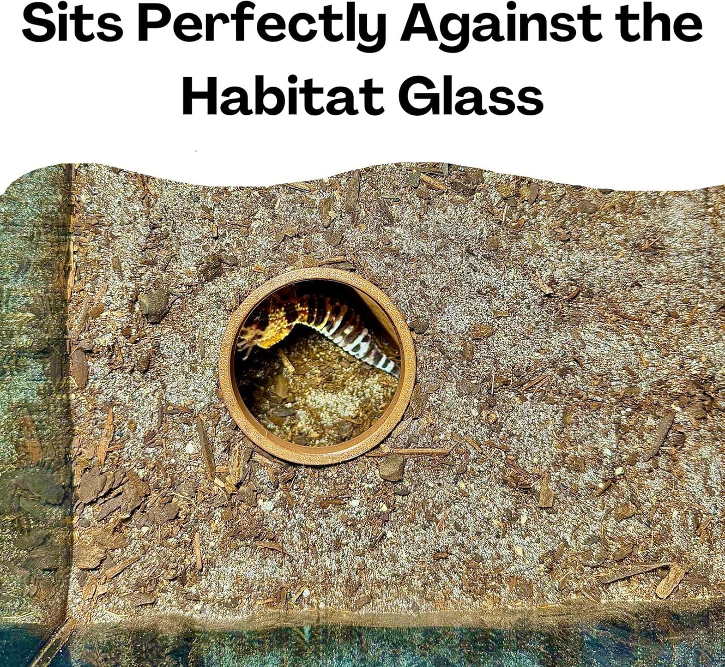 Reptile Corner Underground Cave Viewing Hide