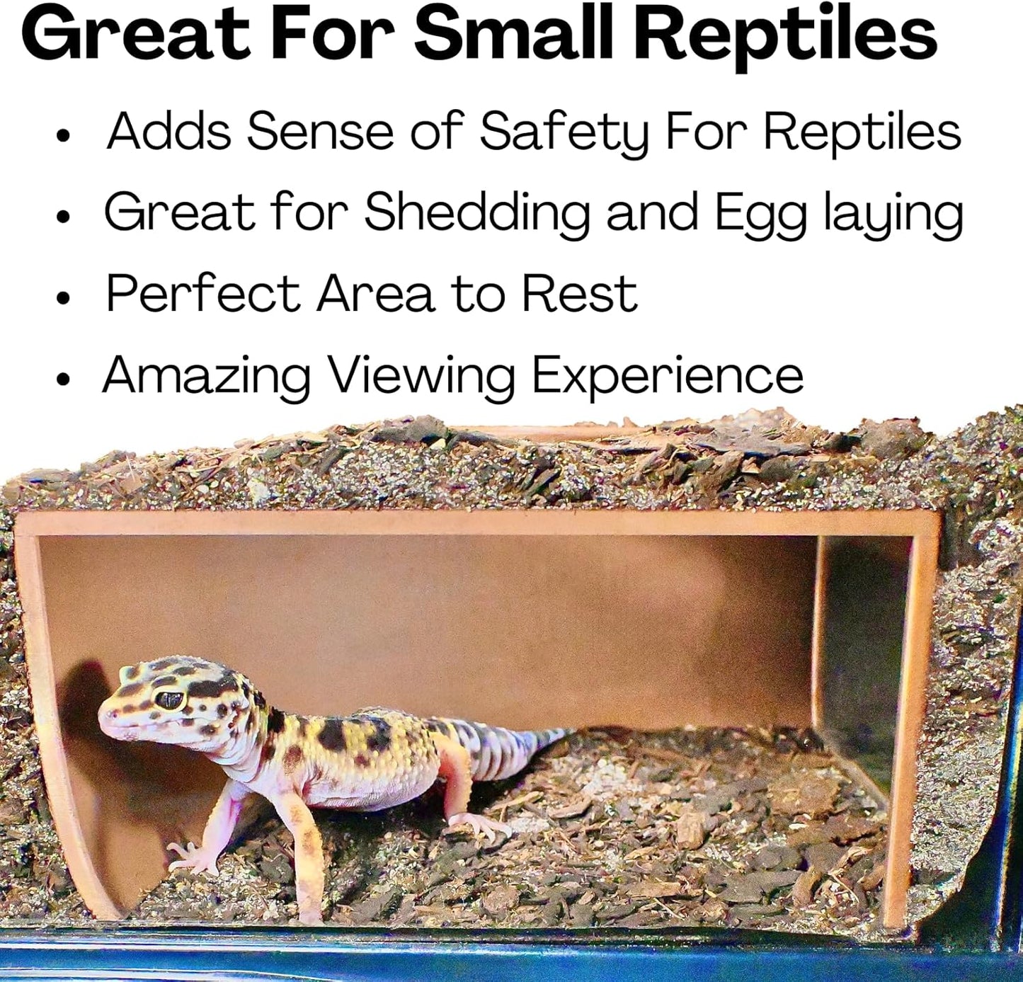 Reptile Corner Underground Cave Viewing Hide