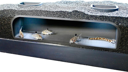 Aquarium underground tunnel cave with cory catfish swimming inside of it. 