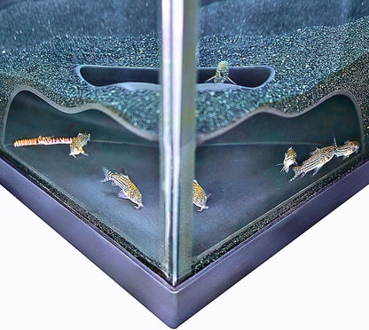 Aquarium natural curve cave with kuhli loaches and cory catfish swimming inside underground cave.