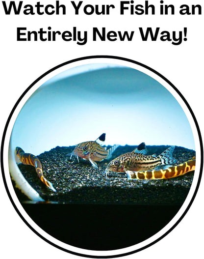 Aquarium Underground Cave Dome | Fish Tank Hide