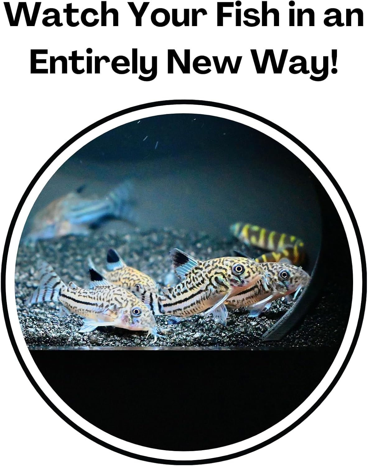 Aquarium Underground Cave Dome | Fish Tank Hide