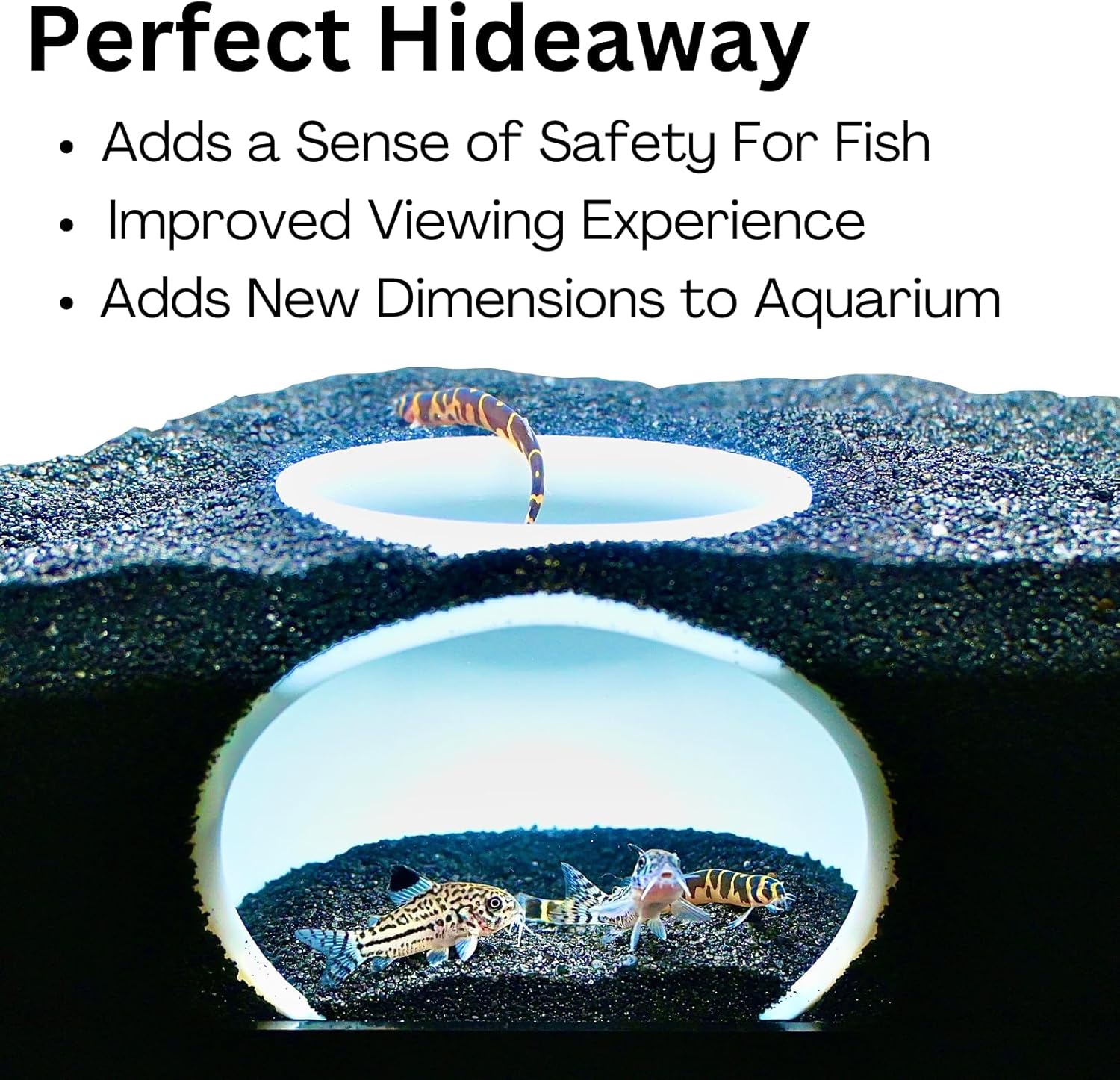 bank deposit box cave fish Lucky Critter Aquarium Underground Cave Dome | Viewing Fish & Shrimp Under Gravel Tunnel