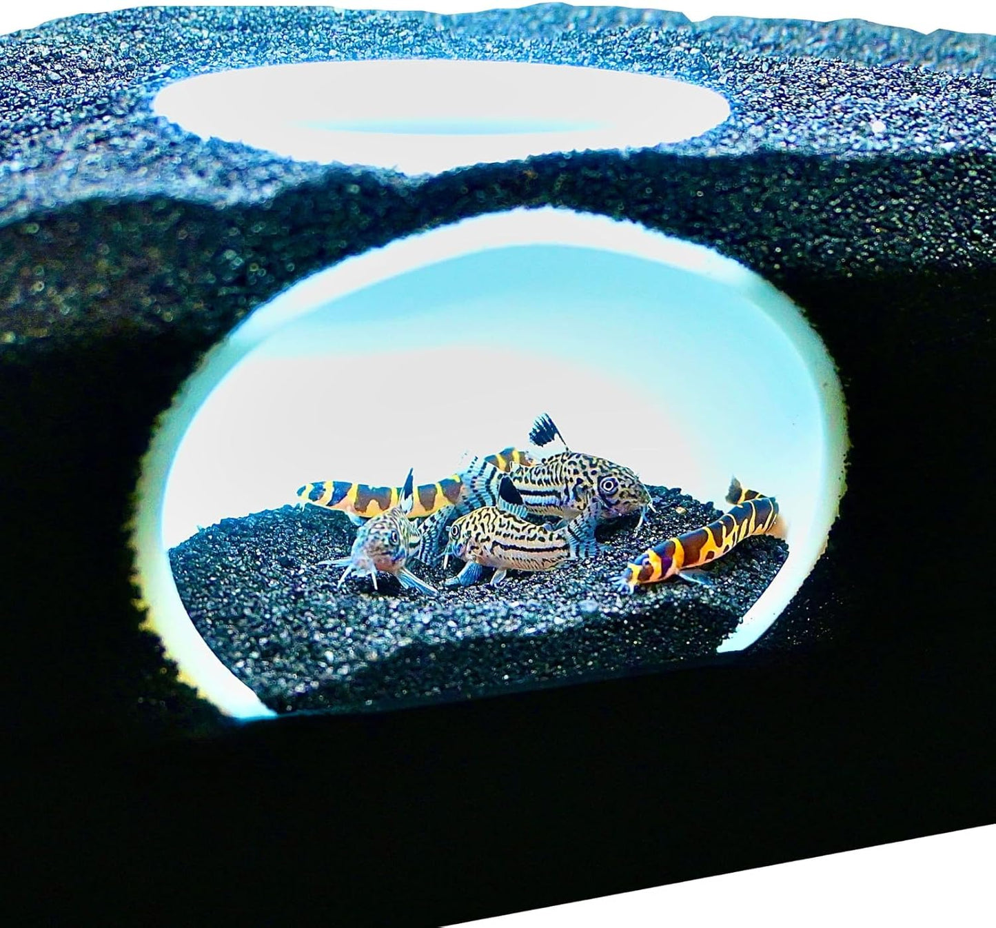 Aquarium Underground Cave Dome | Fish Tank Hide