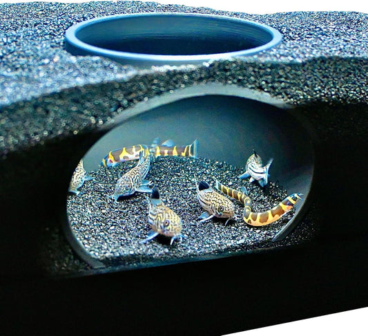 Aquarium underground dome tunnel cave with kuhli loaches and cory catfish swimming inside of it.