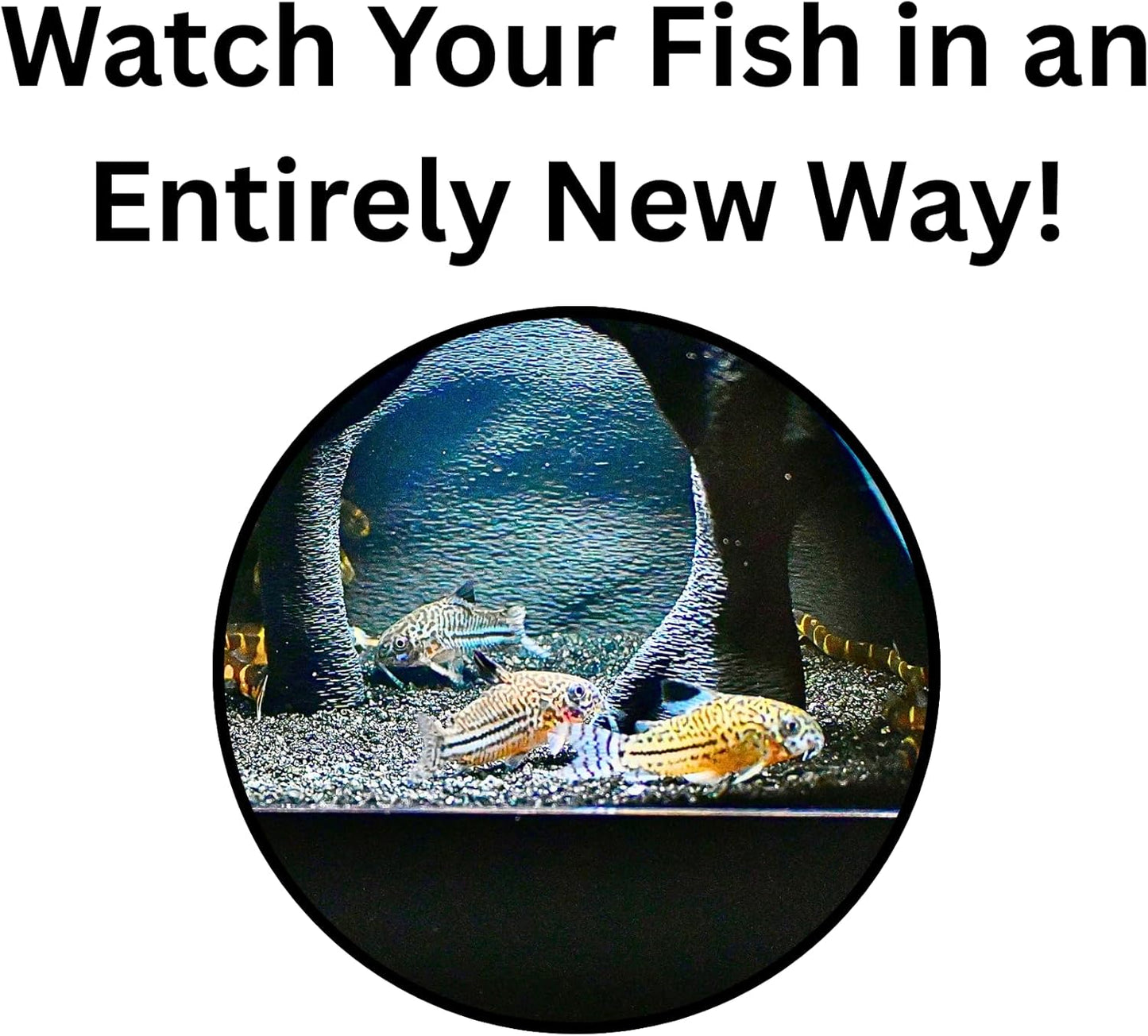 Aquarium underground tree cave that is for easy viewing and watch your fish in an easy way. 