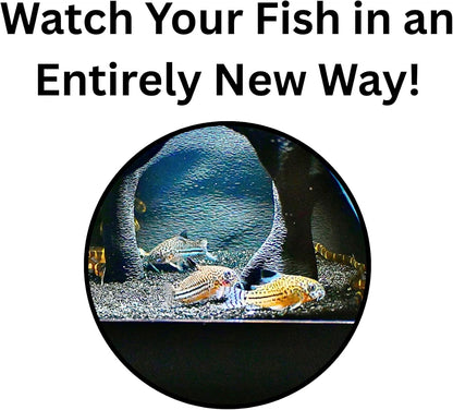 Aquarium underground tree cave that is for easy viewing and watch your fish in an easy way. 