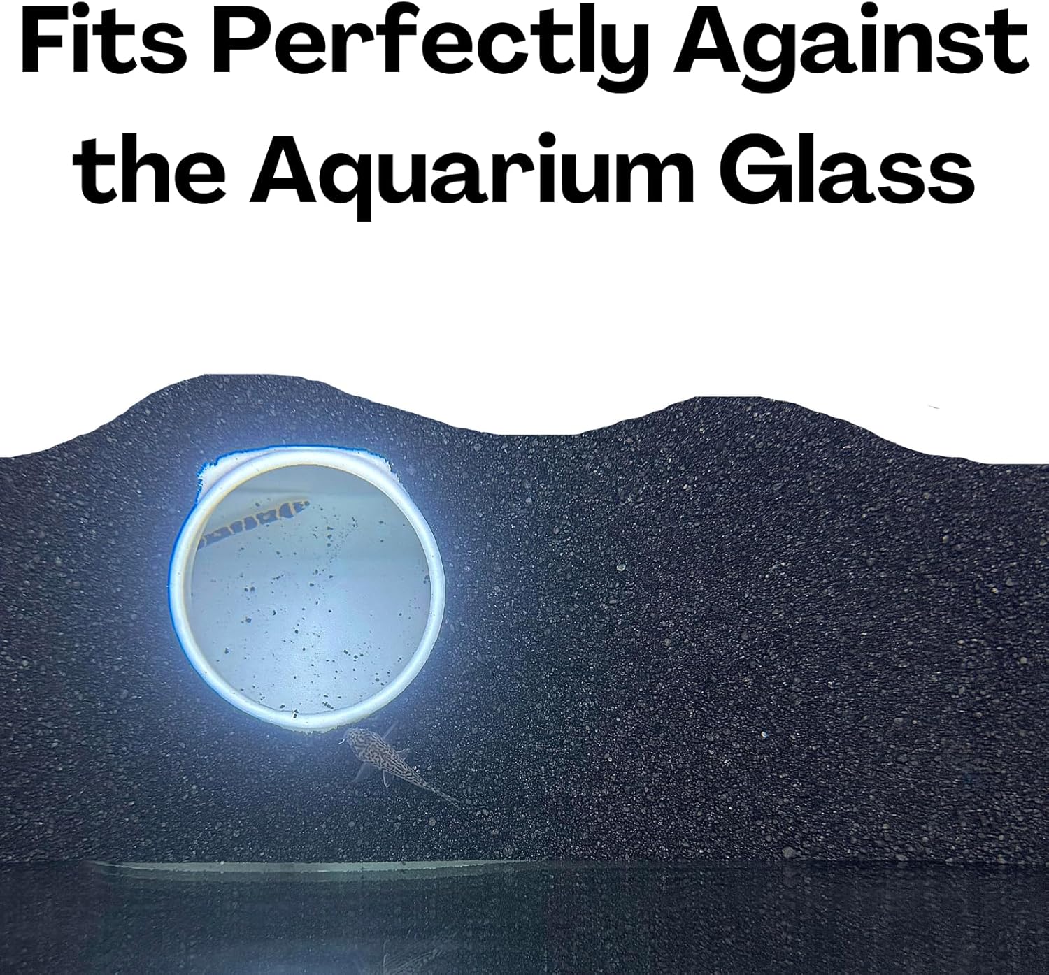 The white aquarium single hole natural curve cave fits perfectly against the aquarium glass.