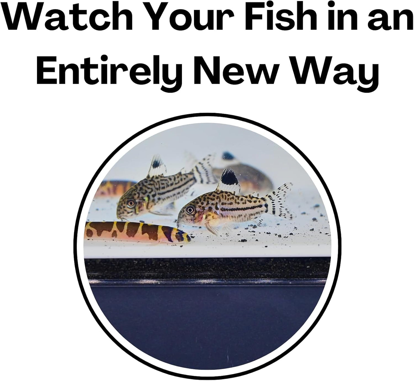 Be able to watch your fish in an entirely new way with the white aquarium underground natural curve single hole cave.