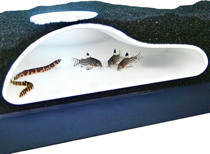 Underground aquarium white single hole cave with cory catfish and kuhli loaches swimming inside.