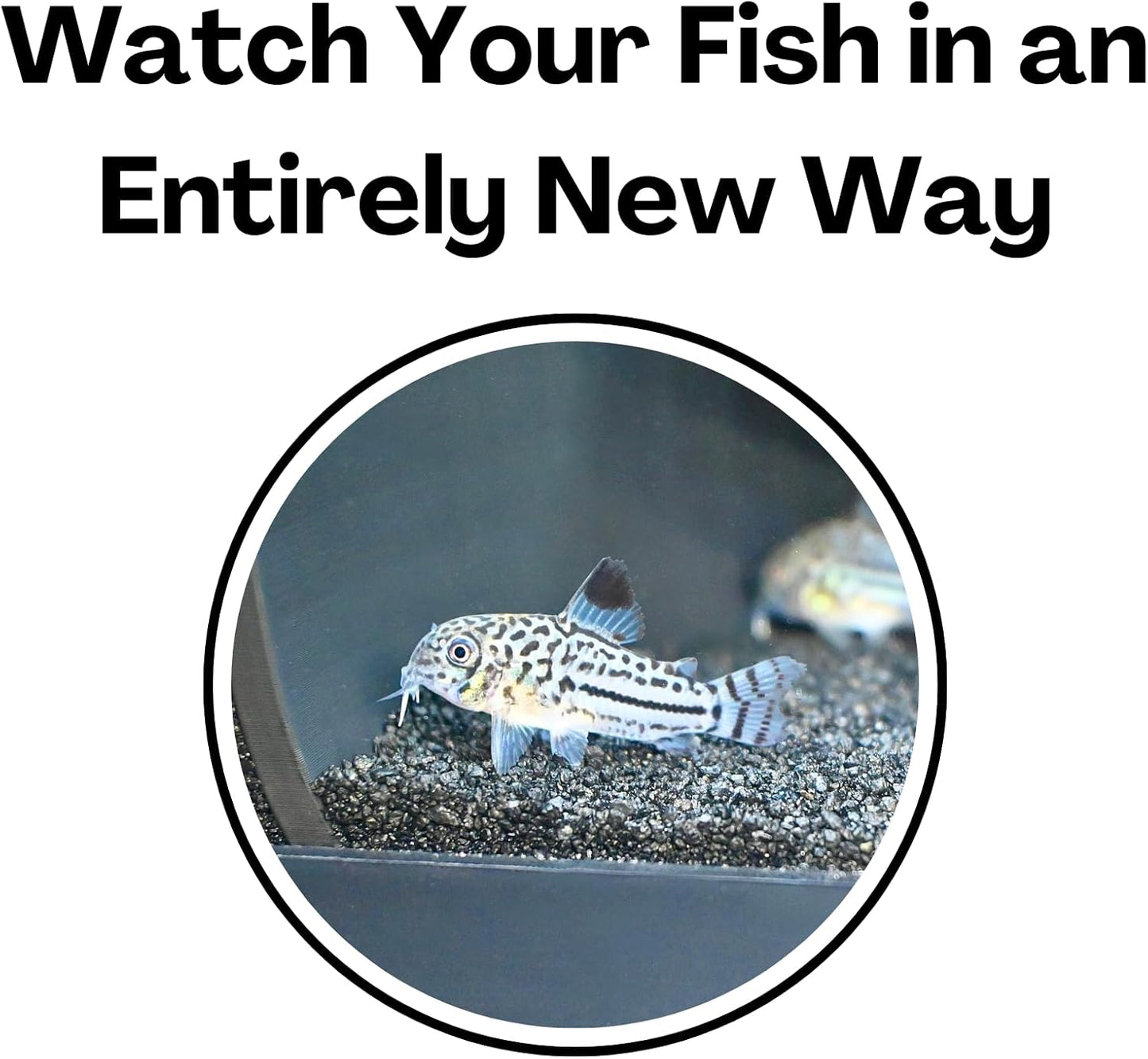 Be able to watch your fish in an entirely new way with the black aquarium underground two hole corner cave.