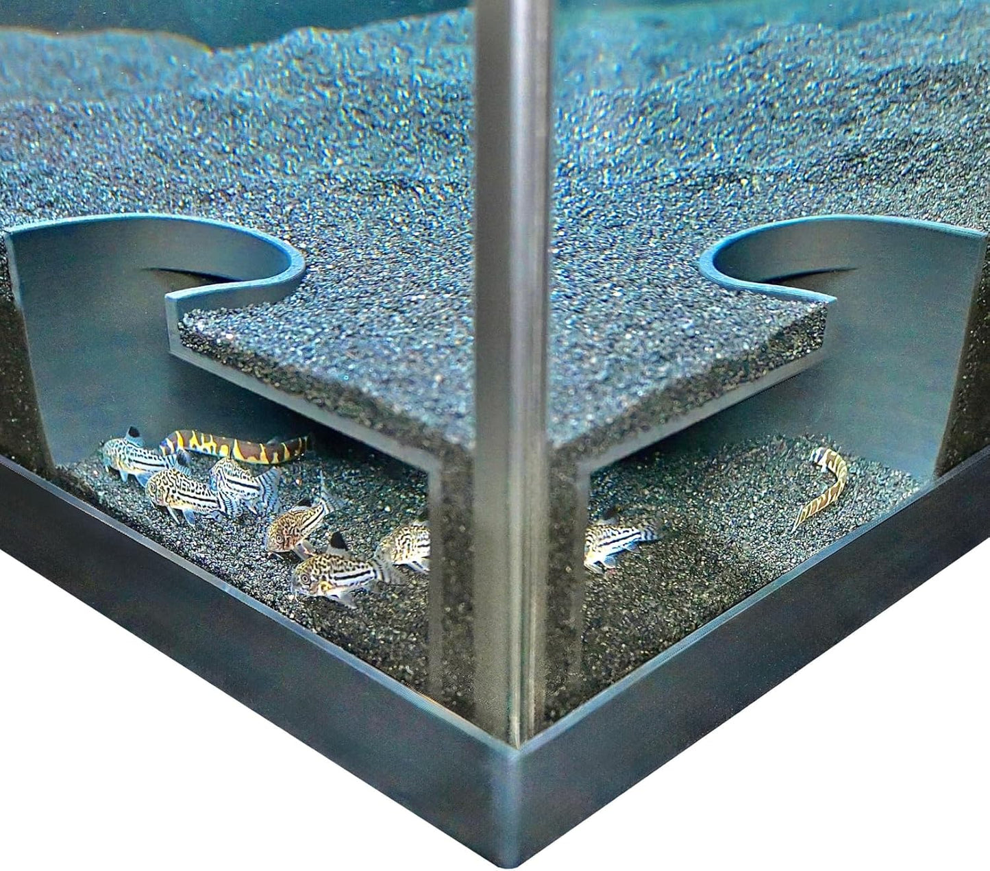 Black aquarium underground corner cave with kuhli loaches and cory catfish swimming inside of it. 