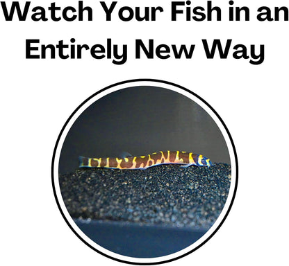 Watch your fish in an entirely new and exciting way with the black aquarium underground dome tunnel cave.