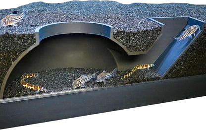 Aquarium black underground dome tunnel cave with kuhli loaches and cory catfish swimming in and out of it.