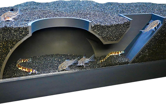 Aquarium black underground dome tunnel cave with kuhli loaches and cory catfish swimming in and out of it.