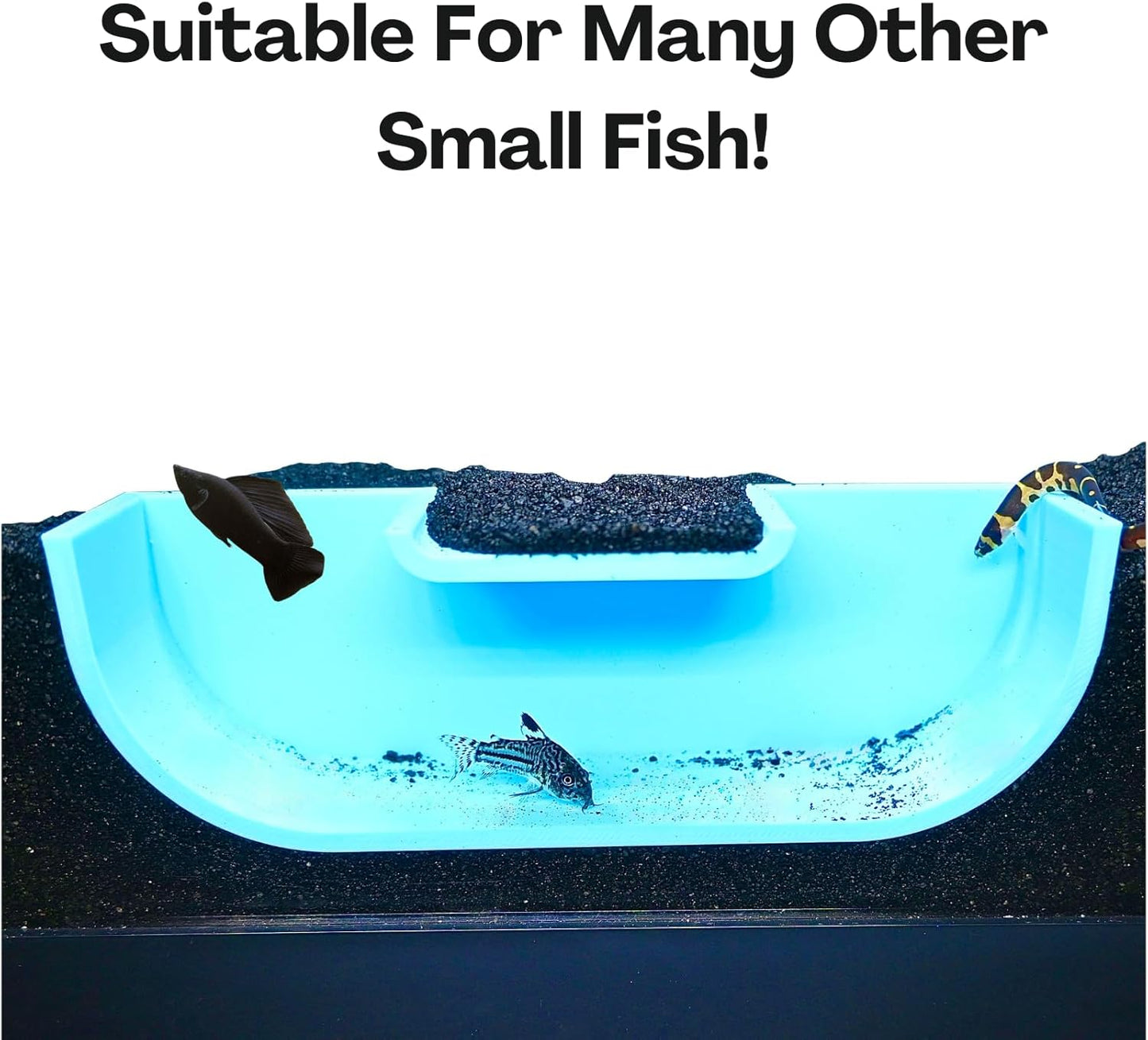 The blue betta underground hideout tunnel cave is suitable for many other fish including kuhli loaches and cory catfish. 