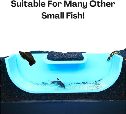 The blue betta underground hideout tunnel cave is suitable for many other fish including kuhli loaches and cory catfish. 