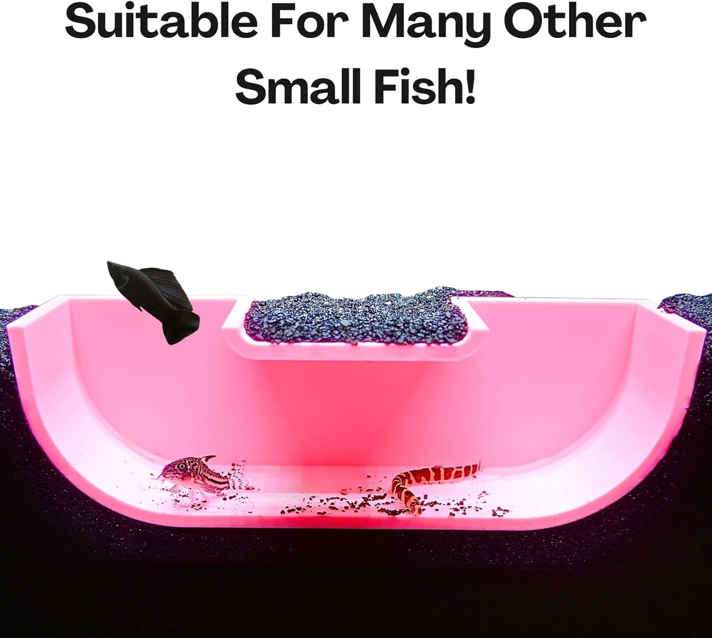 The pink underground betta hideout tunnel cave is suitable for many other small fish, not just betta fish including kuhli loaches and cory catfish.