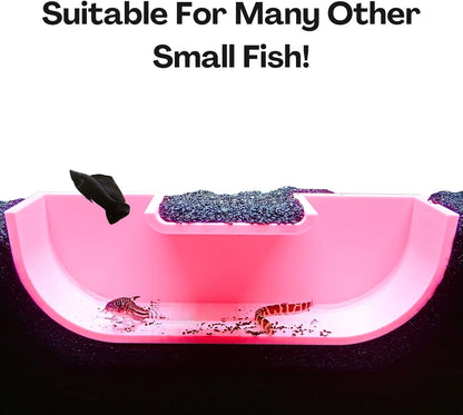 The pink underground betta hideout tunnel cave is suitable for many other small fish, not just betta fish including kuhli loaches and cory catfish.