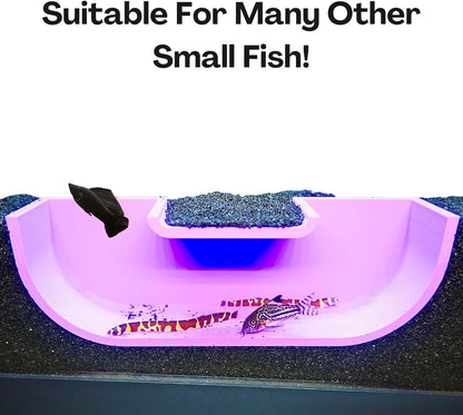 The betta underground tunnel cave is suitable for not just betta fish but also for many other small fish. Kuhli loaches and cory catfish swimming in and out of the cave.