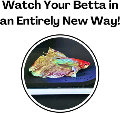 Be able to watch your betta fish in an entirely new way with the betta underground tunnel cave.